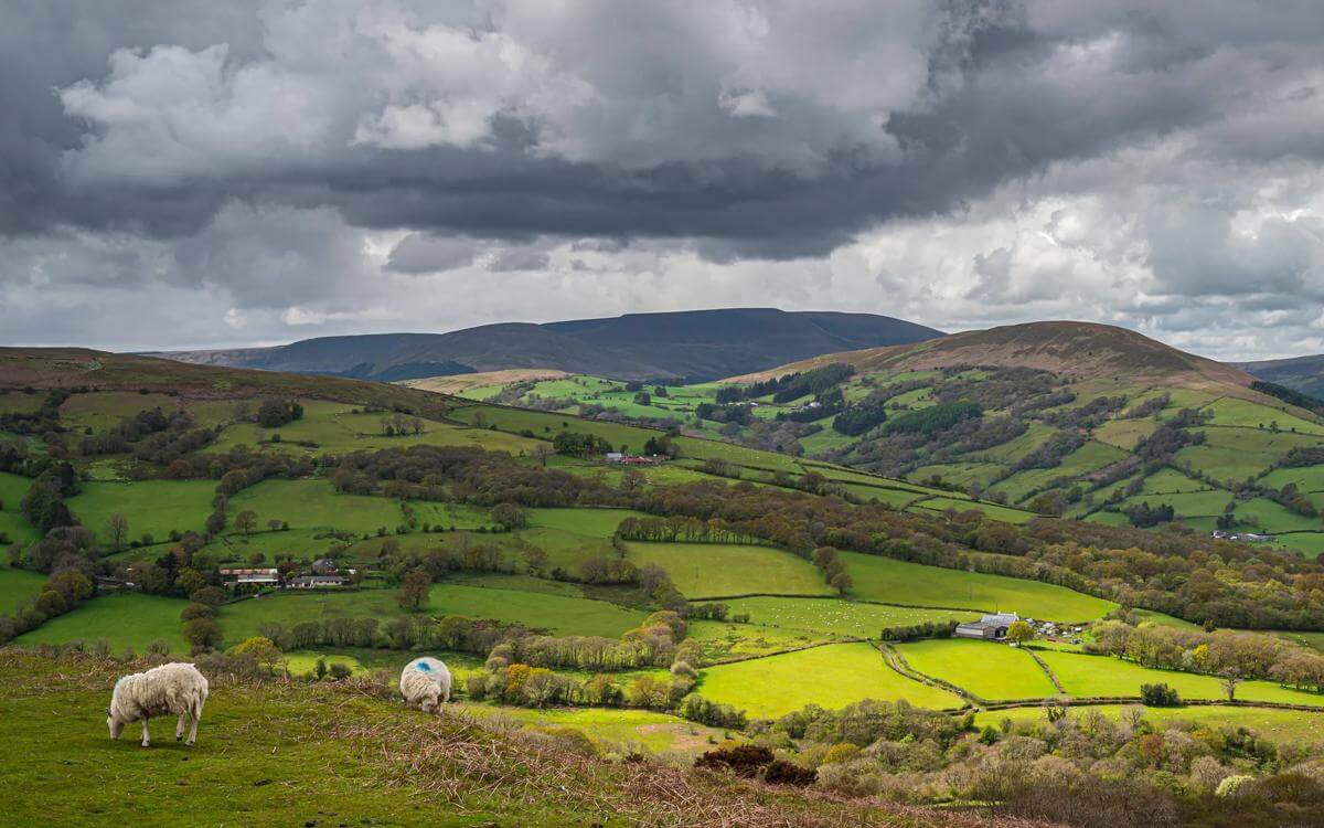 Draft Finance Bill 2025-26: Inheritance tax provisions