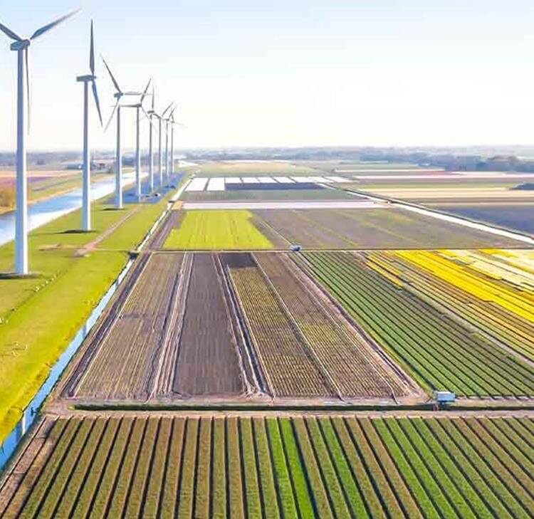 Changes to market authorisation for regulated products