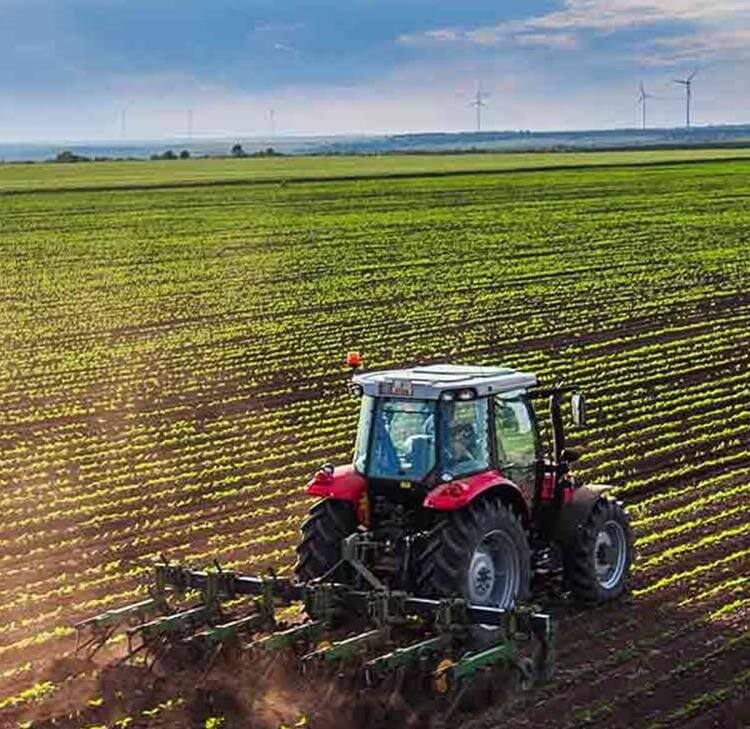 UK Government announces collaborative development of new national food strategy