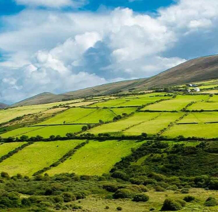 Conservation covenants: A useful tool in the toolbox?