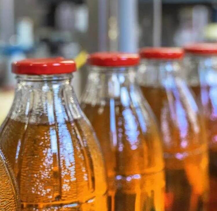 Navigating the new CTSI guidance: What businesses need to know