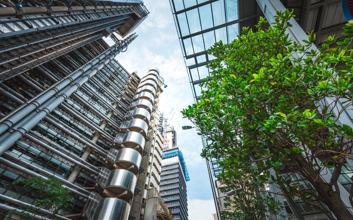 Insurance Insights: The Word, September 2025