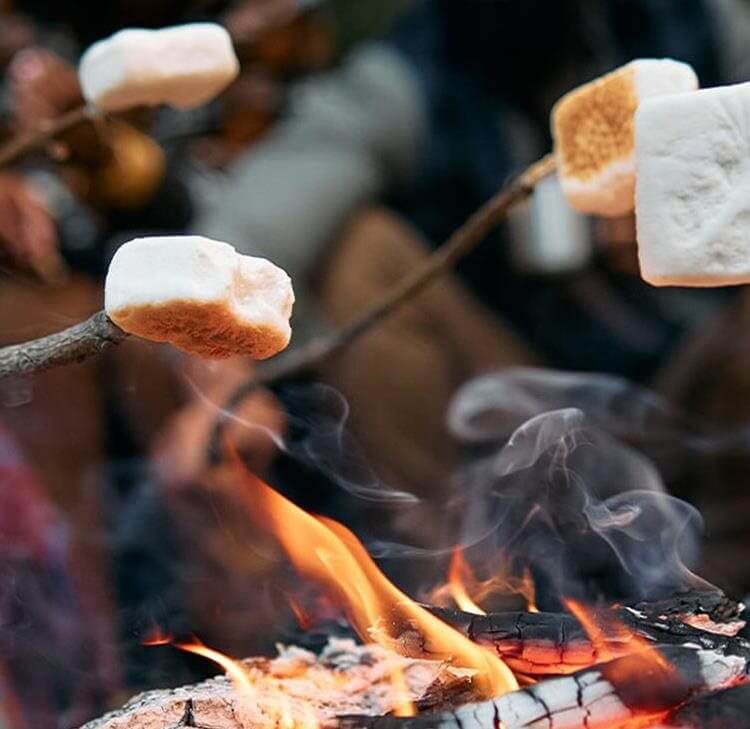Sweetened dispute: The VAT battle over Mega Marshmallows