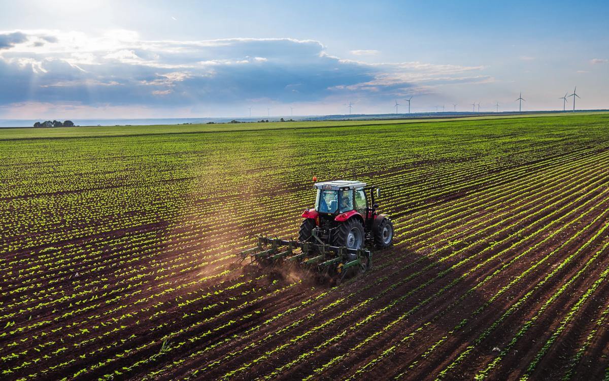 ASA monthly insights October 2025: Four(ish) rulings you need to know about 