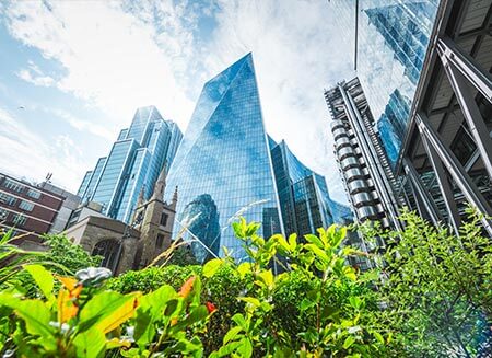 National inquiry into child grooming: What does this mean for insurers?