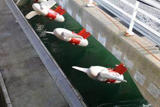 Browne Jacobson supports Welsh Government with key investments into Morlais tidal power project 